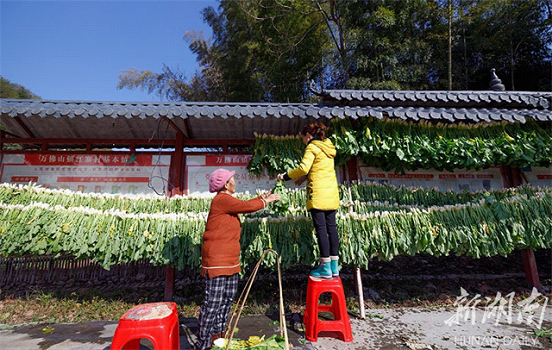 Villagers Busy Making Pickled Vegetables - Huaihua